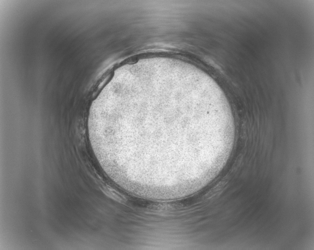 X0000054271355200508261905.png