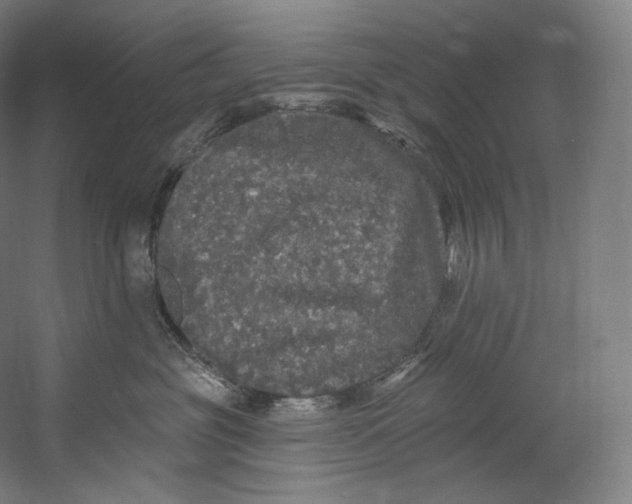 X0000055210381200508301328.png