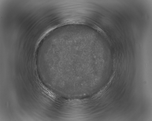 X0000055211019200508301316.png
