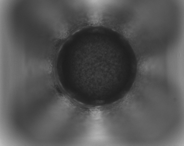 X0000054730658200508171853.png