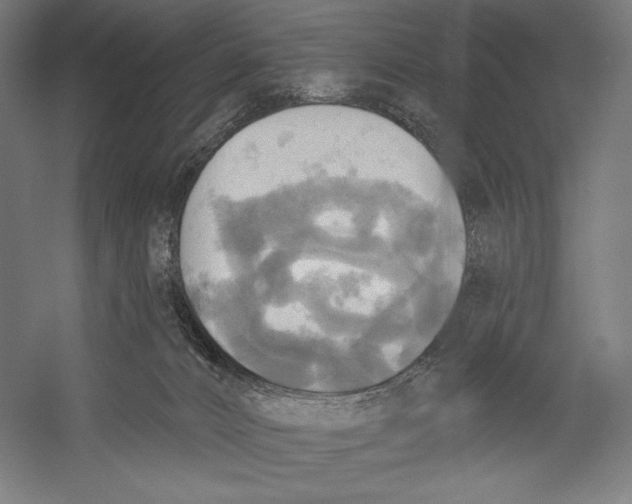 X0000055250032200509071627.png