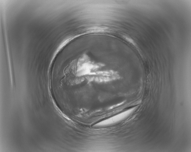 X0000054351467200508190115.png
