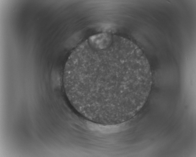X0000053460039200508112209.png