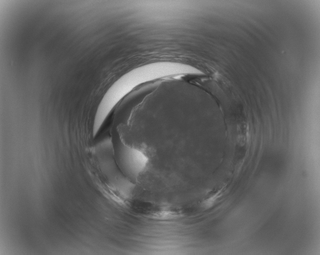 X0000054350380200508190134.png