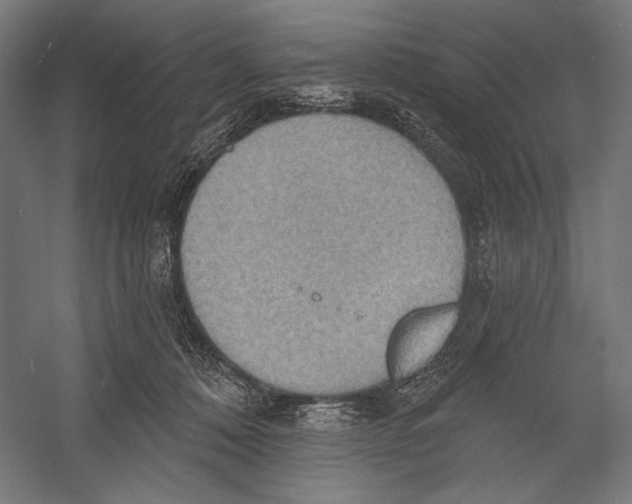 X0000055250320200509071622.png
