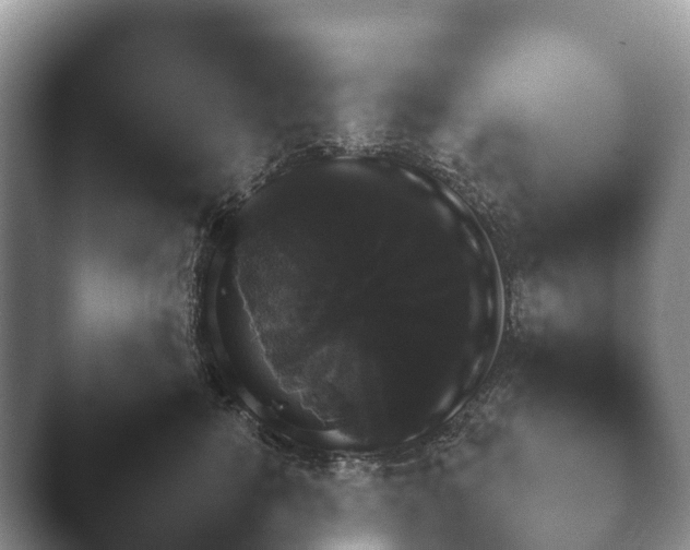 X0000045390760200501241402.png