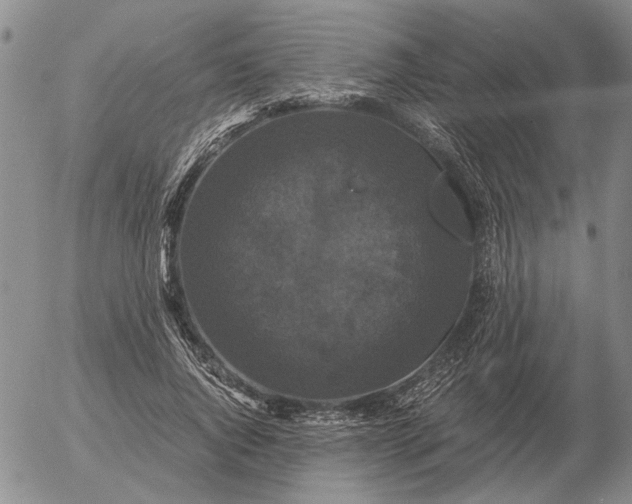 X0000054170736200508101759.png