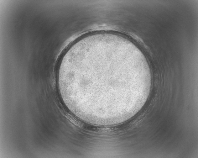 X0000054271167200508261908.png