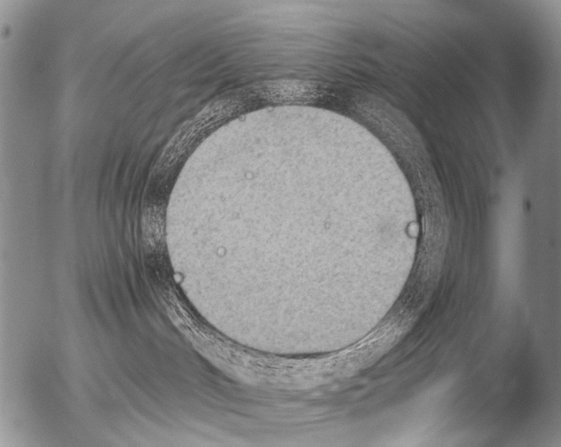 X0000054580048200508300112.png