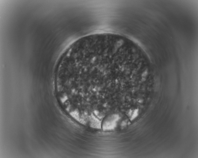 X0000053461415200508112145.png