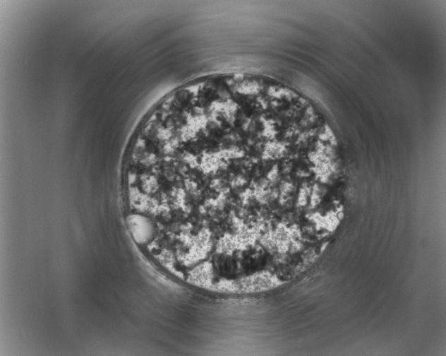 X0000053461087200508112151.png