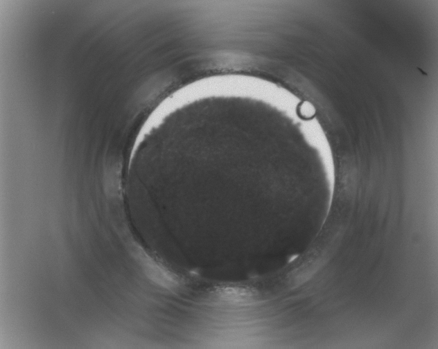 X0000053460585200508112159.png