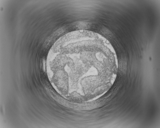 X0000054580046200508300112.png