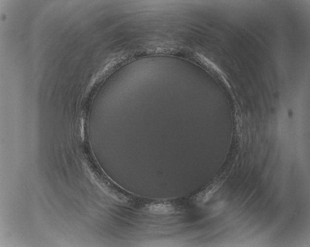 X0000054170067200508101810.png