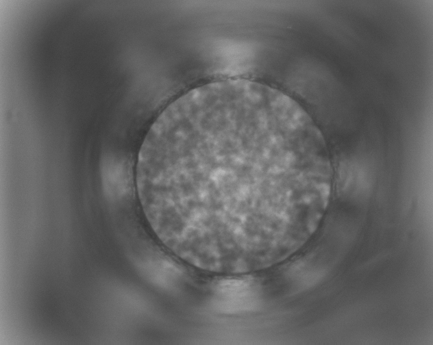 X0000053460236200508112205.png