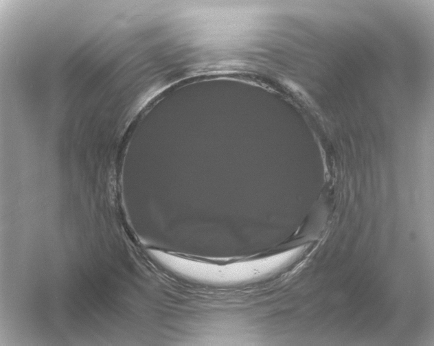 X0000054351457200508190115.png