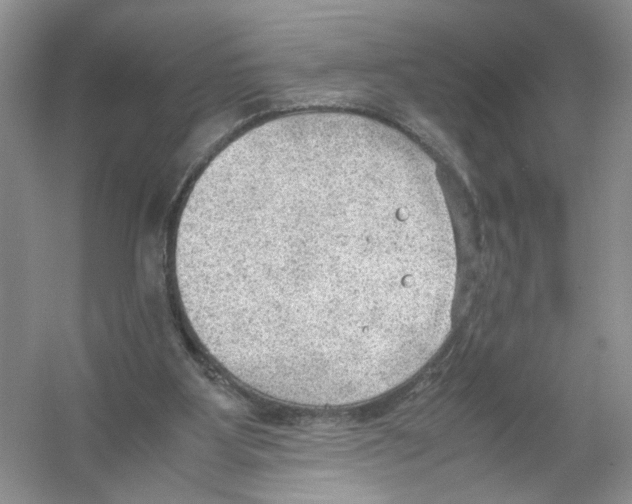 X0000054270107200508261926.png