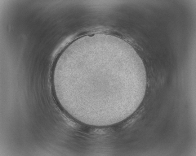 X0000054270341200508261922.png