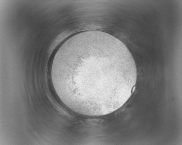 X0000054270242200508261923.png