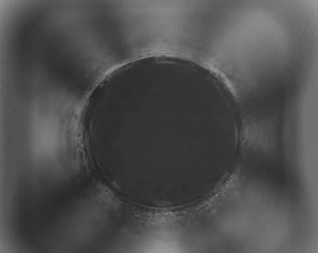 X0000047471019200503091553.png