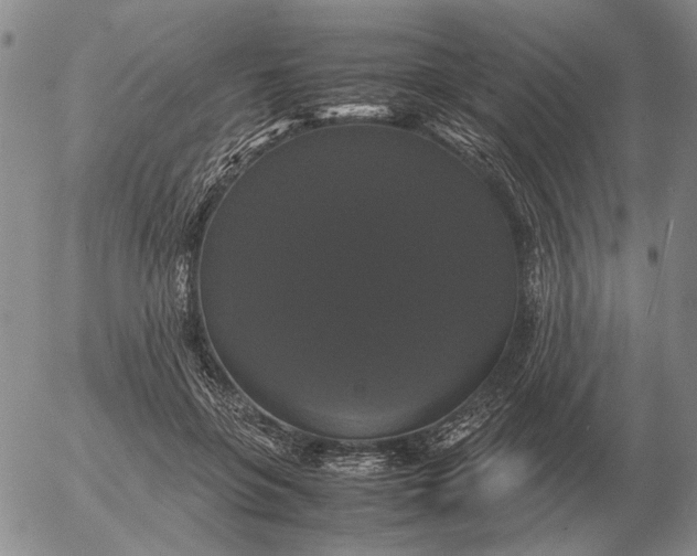 X0000054170551200508101802.png