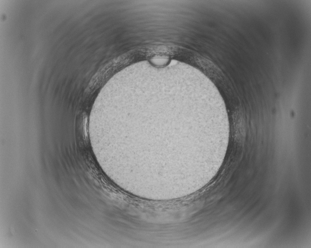 X0000054580041200508300112.png