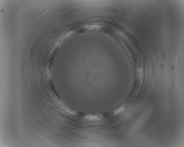 X0000054170381200508101806.png