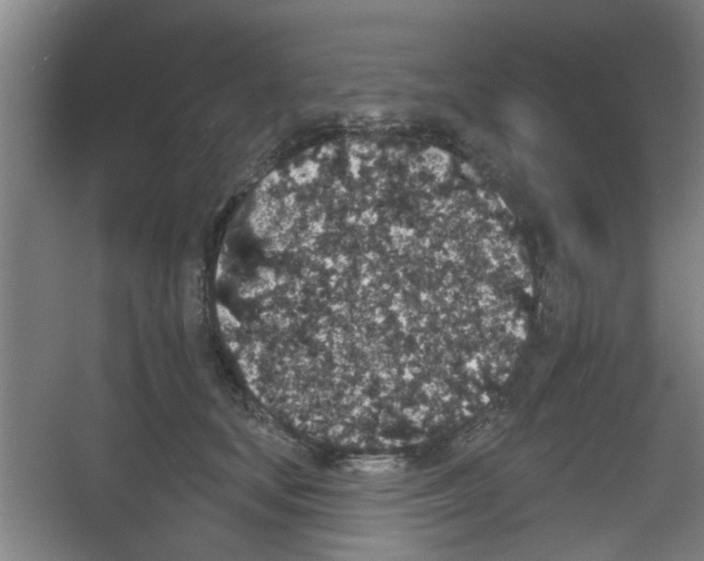 X0000053460659200508112158.png