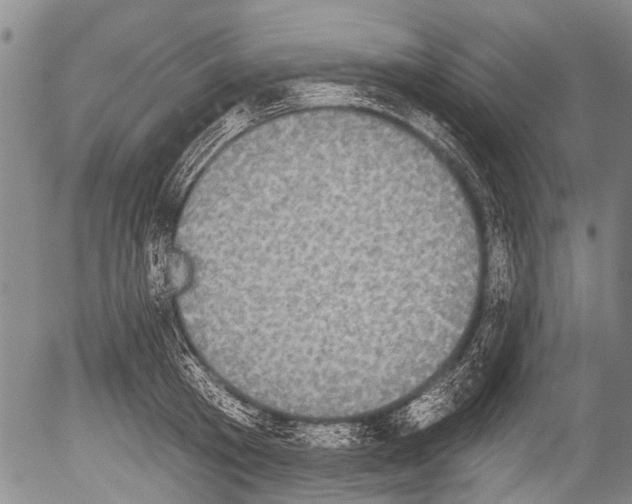 X0000054580801200508300059.png