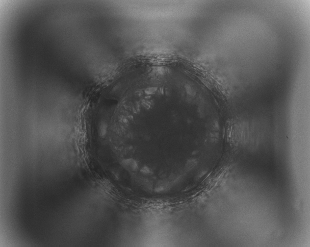 X0000045390771200501241402.png