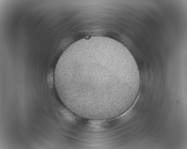 X0000054270190200508261926.png