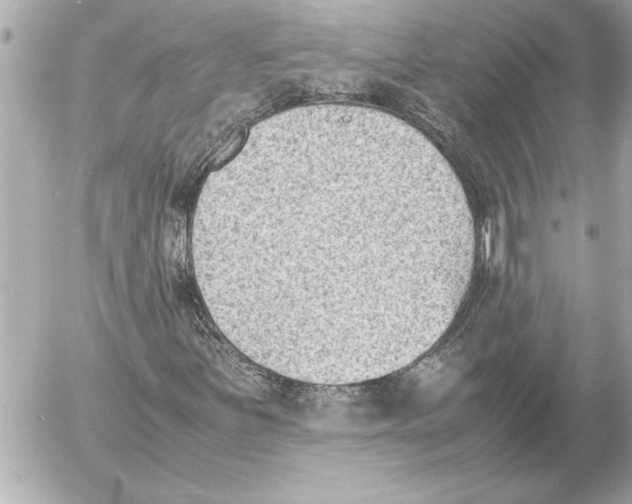 X0000054231251200508171501.png