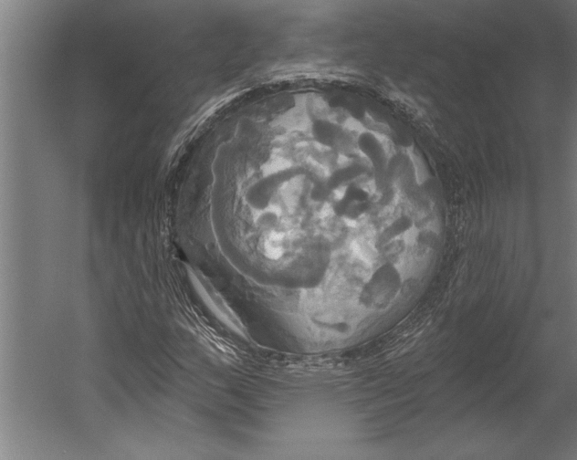 X0000055251159200509071608.png
