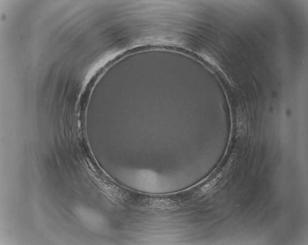 X0000054171070200508101754.png