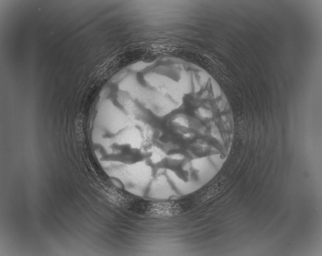 X0000055250757200509071615.png