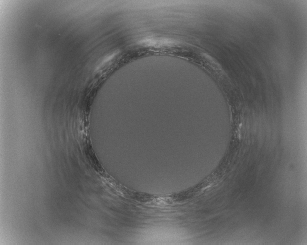 X0000054350966200508190124.png
