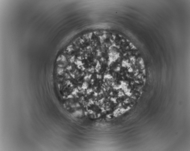 X0000053460487200508112201.png