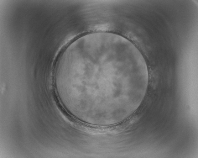 X0000054350012200508190140.png