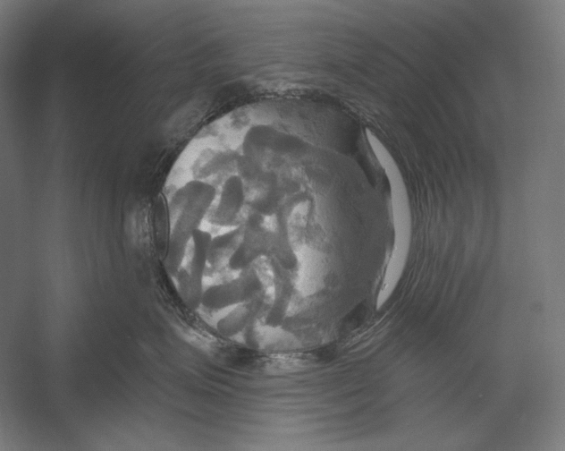 X0000055250623200509071617.png