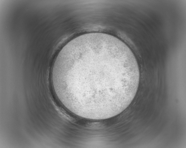 X0000054270058200508261927.png