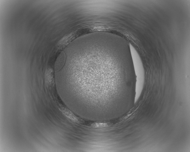 X0000054300361200508042316.png