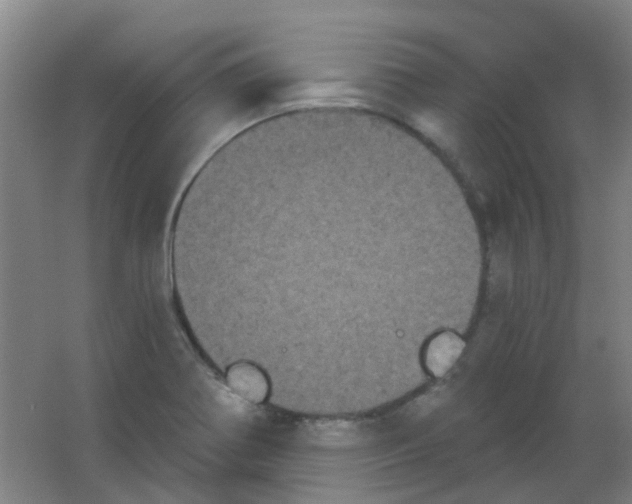 X0000053461370200508112146.png