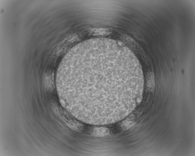 X0000054580376200508300107.png