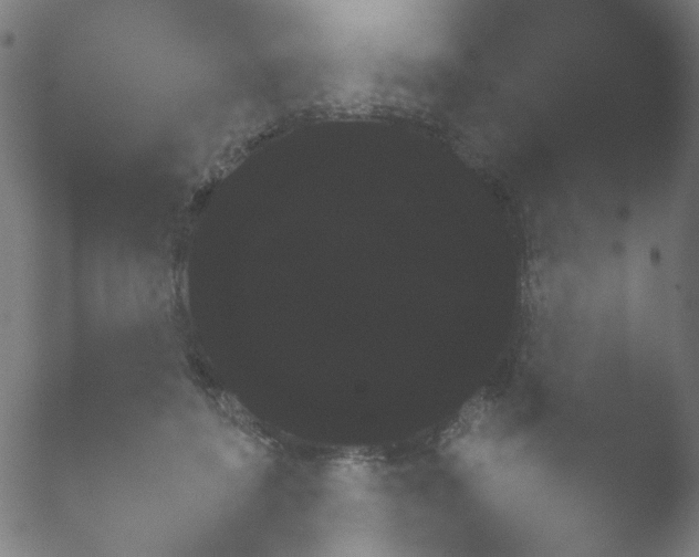X0000050880504200507051511.png