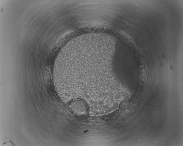 X0000054170918200508101755.png