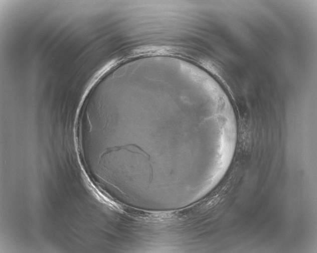 X0000054351090200508190122.png