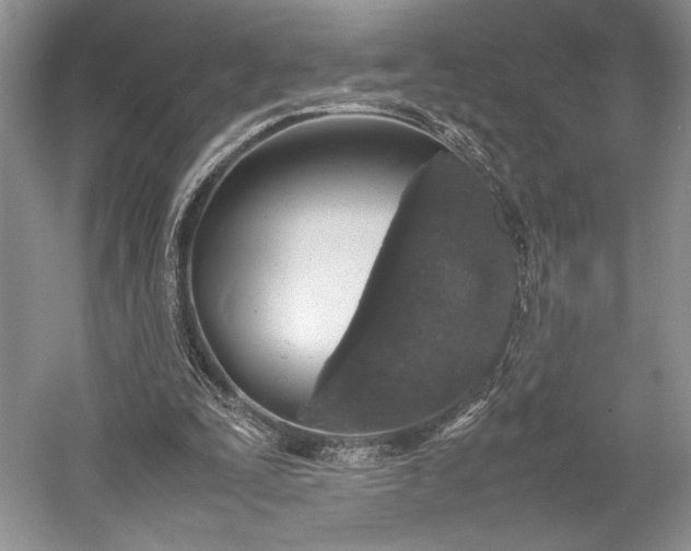 X0000055060295200508161653.png