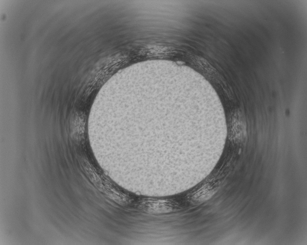 X0000054580472200508300105.png