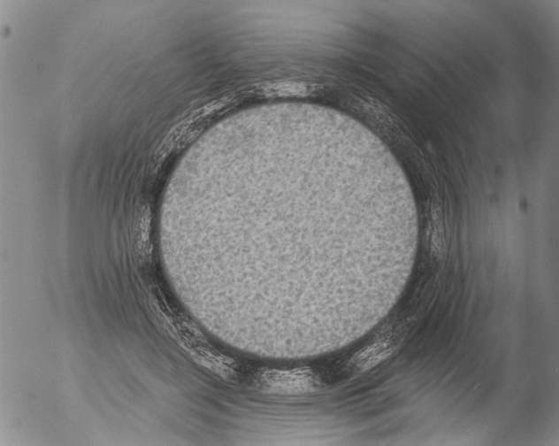 X0000054580548200508300103.png