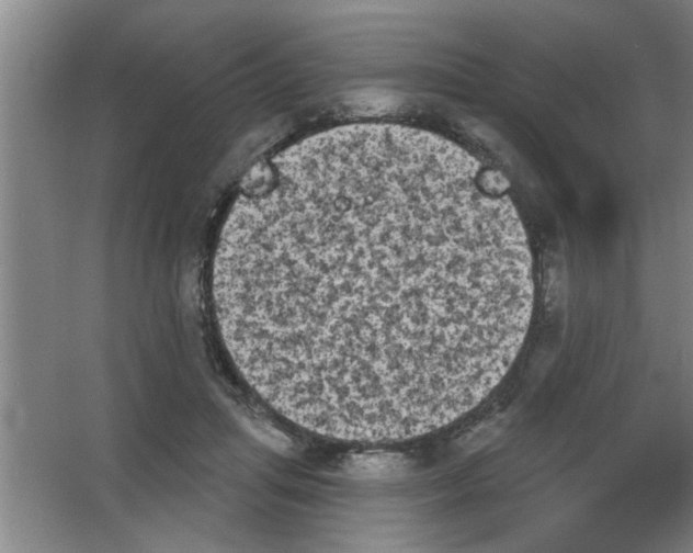 X0000053460455200508112201.png